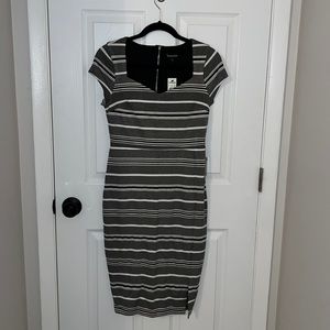 Express Bodycon Sheath Dress